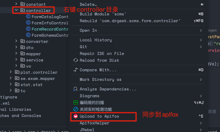 apifox-09.png