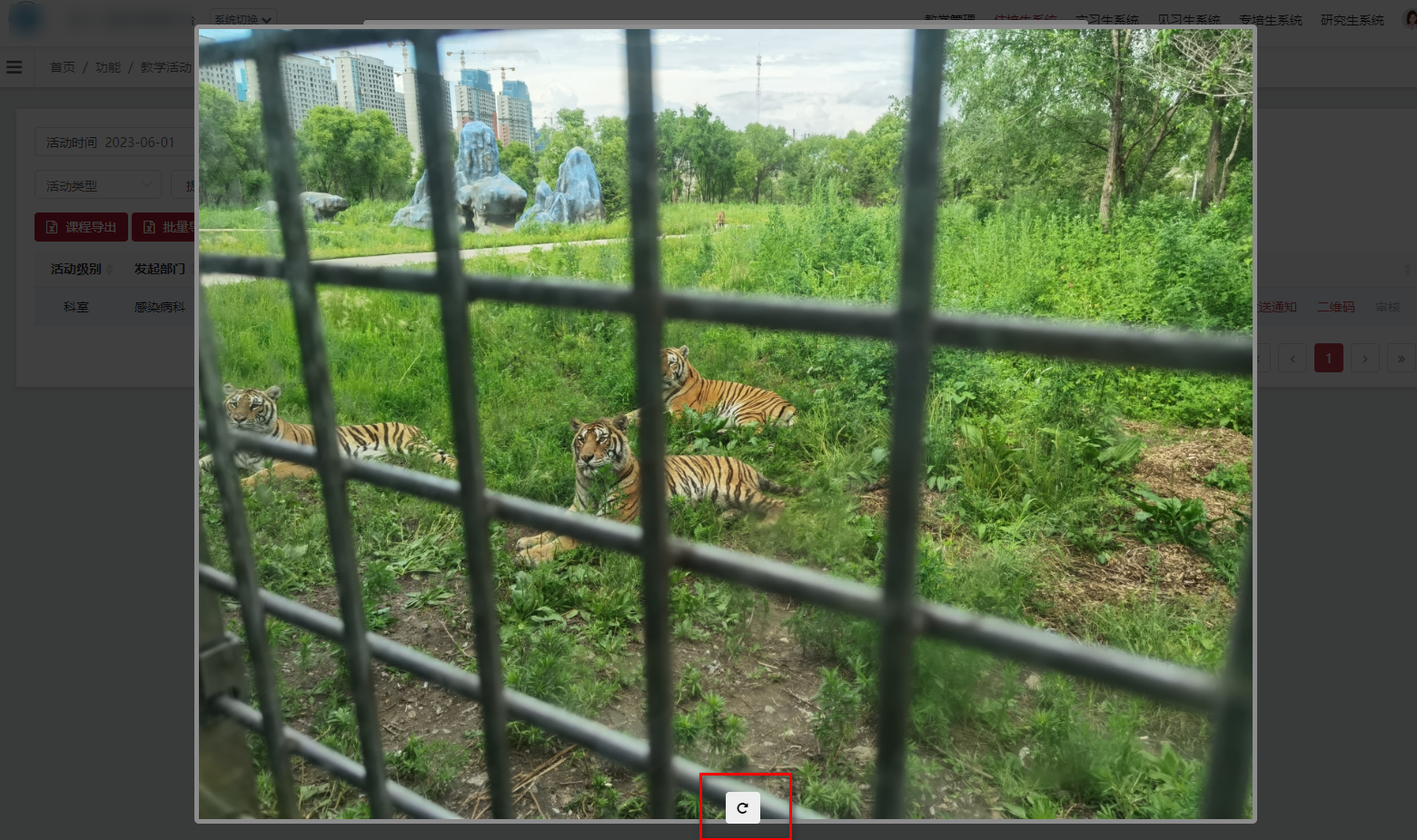 foo